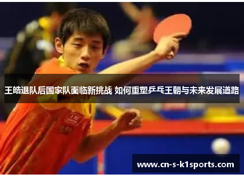 王皓退队后国家队面临新挑战 如何重塑乒乓王朝与未来发展道路